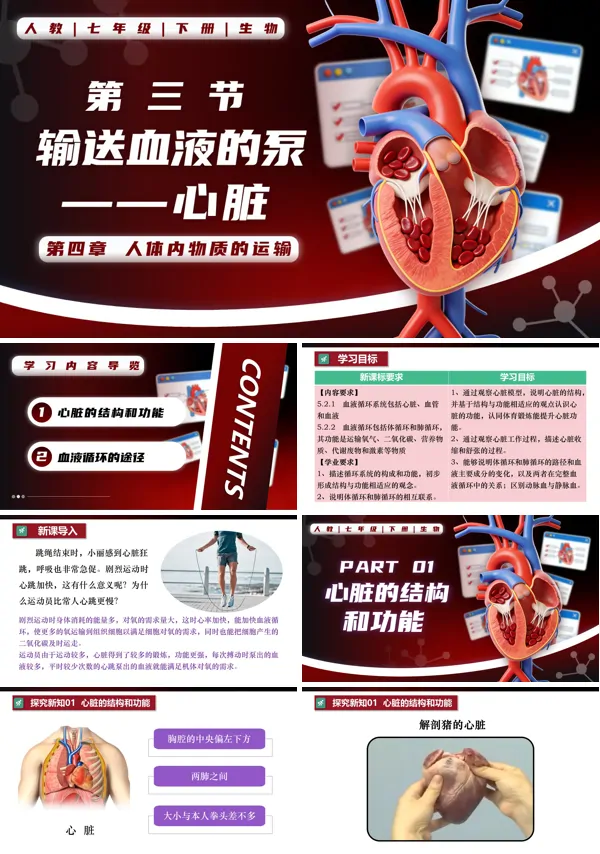 七年级生物下册第四单元4.4.3 输送血液的泵——心脏PPT课件（教案+导学案+分层作业）