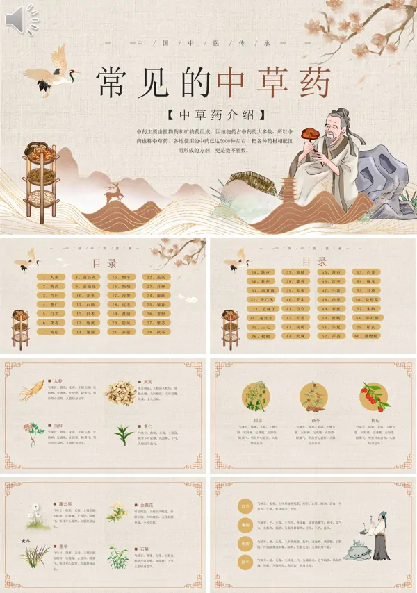 《常见中草药培训课件》的培训内容PPT