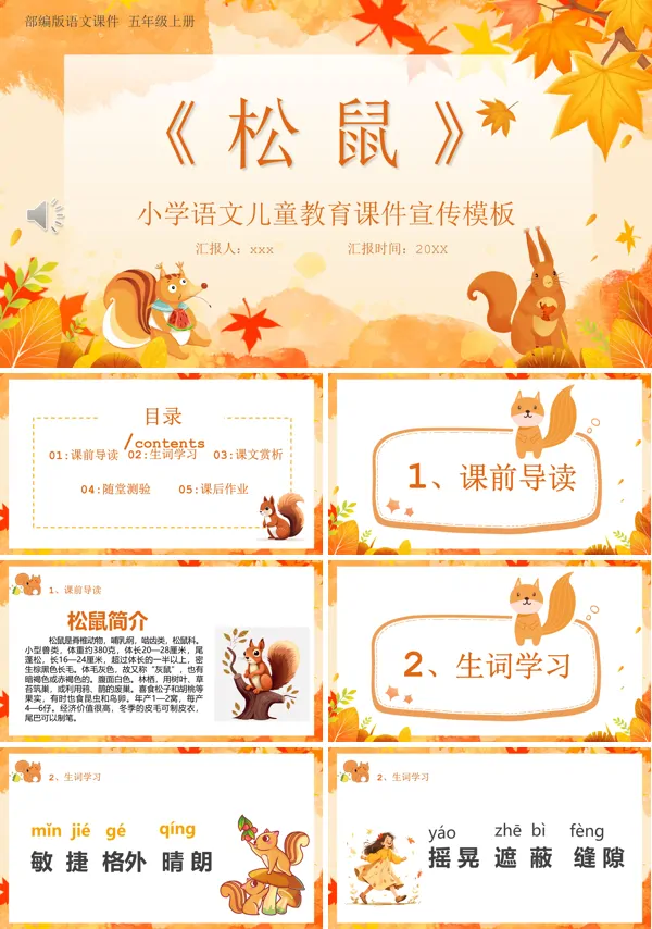 部编版五年级语文上册松鼠课件PPT