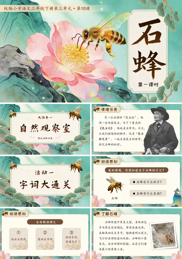 石蜂三年语文下册PPT课件含教案
