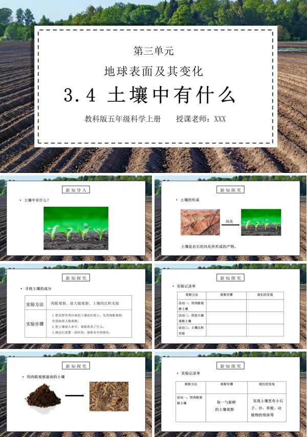 地球表面及其变化-土壤中有什么PPT课件