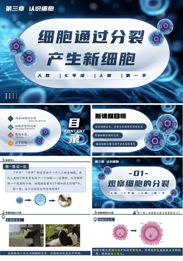 生物人教七年级生物上册细胞通过分裂产生新细胞PPT课件含教案
