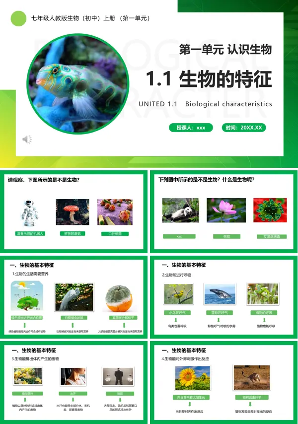 生物的特征PPT课件模板