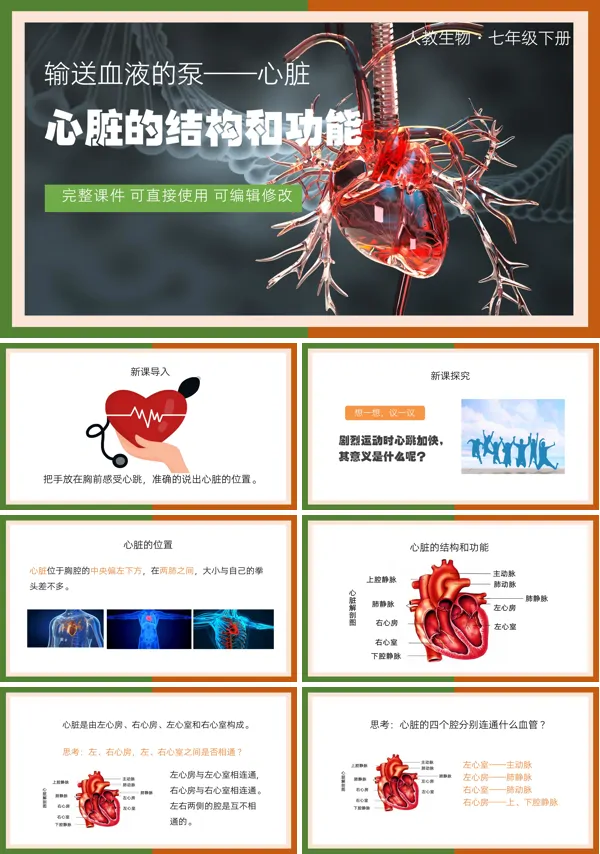 七年级下册第三节输送血液的泵心脏PPT课件