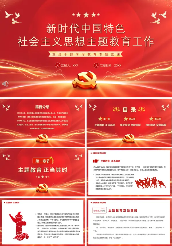 新时代中国特色社会主义思想主题教育工作PPT专题党课